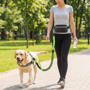 Nustokite tempti, išlaikykite kontrolę - laisvų rankų šuns pavadėlis / DOGZIP